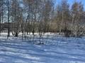 Жер телімі · 23 сотық, Аккайын, бағасы: 37.5 млн ₸ — фото 4