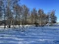 Жер телімі · 23 сотық, Аккайын, бағасы: 37.5 млн ₸ — фото 5