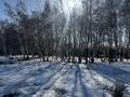 Жер телімі · 23 сотық, Аккайын, бағасы: 37.5 млн ₸ — фото 6