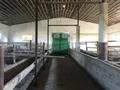 Промбаза · 80 соток, Бәйтерек 1А — Штраф стоянкаға қарама-қарсы за 80 млн 〒 в Жетысае — фото 5