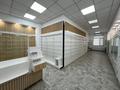 Еркін · 87 м², бағасы: 50 млн ₸ в Астане, Нура р-н