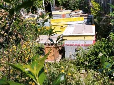 Жер телімі · 6 сотық, Сад тов " Урожай" улица первая дачная участок 4 — Зерендинская трасса , первая дачная, бағасы: 1.5 млн ₸ в Кокшетау