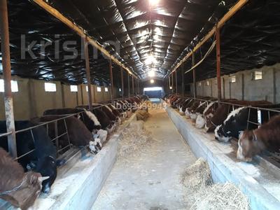 Откормочная база, МТФ, производственный цех · 500 м² за 19.5 млн ₸ в Жамбылской обл., Байзак