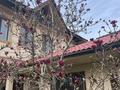 Отдельный дом · 6 комнат · 248 м² · 8 сот., Жеңіс — Мерей за 85 млн ₸ в Коксай (пути Ильича)