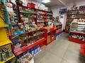 Свободное назначение, офисы, магазины и бутики, салоны красоты, медцентры и аптеки, образование · 256 м² за 130 млн ₸ в Талдыкоргане, мкр Жана Гарышкер — фото 4