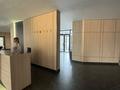 6-комнатная квартира · 440 м² · 1/3 этаж, Достык 308E за 450 млн ₸ в Алматы, Медеуский р-н — фото 4