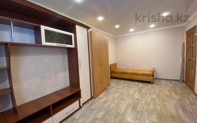 квартира студия. сдача квартиры. дизайн квартиры для посуточной аренды. квартиры в наем аренда. съемная квартира.