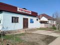 Жеке үй · 5 бөлме · 300 м², Аймаутова 80 — Бизнесімен бірге/ С бизнесом, бағасы: 54 млн ₸ в Арыси — фото 9