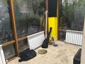 Свободное назначение · 130 м² за 950 000 ₸ в Алматы, Алмалинский р-н — фото 7
