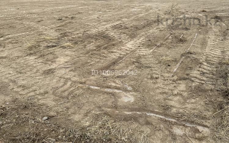 Участок · 22.5 соток, мкр Казыгурт за 24 млн 〒 в Шымкенте, Туран р-н — фото 2