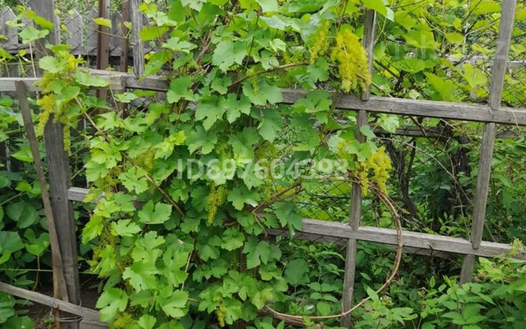 Дача · 1 комната · 12 м² · 4.5 сот., Садовод — Район Наримановского рынка за 3.5 млн 〒 в Костанае — фото 2