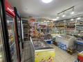 Магазины и бутики • 50 м² за 17.5 млн 〒 в Кокшетау — фото 7