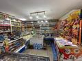 Магазины и бутики • 50 м² за 17.5 млн 〒 в Кокшетау — фото 8