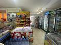 Магазины и бутики • 50 м² за 17.5 млн 〒 в Кокшетау — фото 9