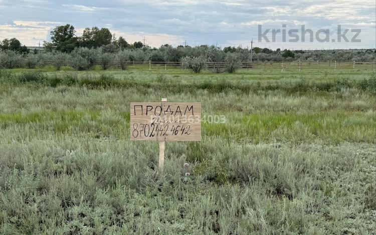 Участок · 24 сотки, жилой массив Бауырластар, Саздинское водохранилище — Саздинское водохранилище за 16 млн ₸ в Актобе — фото 3