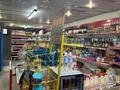 Магазины и бутики · 50 м² за 550 000 ₸ в Алматы, Жетысуский р-н — фото 6