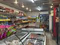 Магазины и бутики · 50 м² за 550 000 ₸ в Алматы, Жетысуский р-н — фото 7