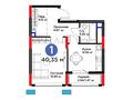 layout