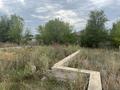 Жер телімі · 8 сотық, мкр Айгуль, бағасы: 7 млн ₸ в Уральске — фото 9
