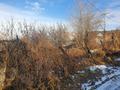 Участок · 6 соток, Эдельвейс 10 за 15 млн ₸ в Алматы, Бостандыкский р-н — фото 2