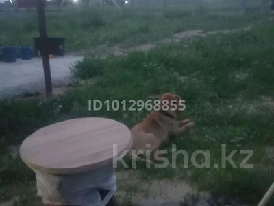 Участок · 6 соток, Туздыбастау (Калинино) за 26 млн ₸