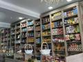 Магазины и бутики · 50 м² за 70 млн ₸ в Караганде, Казыбек би р-н — фото 5