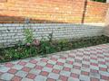 Жеке үй · 8 бөлме · 275 м² · 11 сот., Парковая 1г — Каржаубайулы, бағасы: 125 млн 〒 в Семее — фото 23