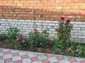 Жеке үй · 8 бөлме · 275 м² · 11 сот., Парковая 1г — Каржаубайулы, бағасы: 125 млн 〒 в Семее — фото 24