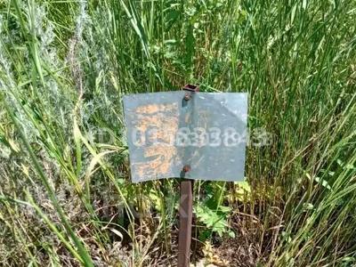 Жер телімі · 6 сотық, М. Түймебаев, бағасы: 5 млн ₸ в М. Туймебаеве