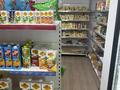 Продуктовый магазин вместе площадью · 70 м² за 70 млн ₸ в Астане, Сарыарка р-н — фото 10