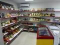 Продуктовый магазин вместе площадью · 70 м² за 70 млн ₸ в Астане, Сарыарка р-н — фото 2