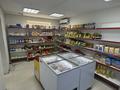 Продуктовый магазин вместе площадью · 70 м² за 70 млн ₸ в Астане, Сарыарка р-н — фото 3