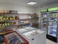 Продуктовый магазин вместе площадью · 70 м² за 70 млн ₸ в Астане, Сарыарка р-н — фото 5
