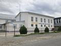Участок · 8 соток, мкр Достык 3660 — Дарын мектеп АвтоЦон за 36.5 млн ₸ в Шымкенте, Абайский р-н — фото 4