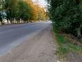 Отдельный дом · 4 комнаты · 160 м² · 12.7 сот., Валиханова 18 — Ледовая арена, поликлиника, футбольное поле за 115 млн ₸ в Байкент — фото 20