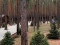 Жеке үй · 9 бөлме · 550 м², Зеленая 12, бағасы: 300 000 ₸ в Бурабае — фото 2