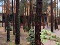 Жеке үй · 9 бөлме · 550 м², Зеленая 12, бағасы: 300 000 ₸ в Бурабае — фото 3