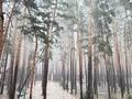 Жеке үй · 9 бөлме · 550 м², Зеленая 12, бағасы: 300 000 ₸ в Бурабае — фото 4