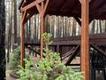 Жеке үй · 9 бөлме · 550 м², Зеленая 12, бағасы: 300 000 ₸ в Бурабае — фото 10