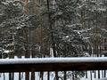 Жеке үй · 9 бөлме · 550 м², Зеленая 12, бағасы: 300 000 ₸ в Бурабае — фото 58