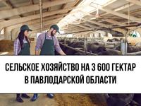 Участок 3600 га, Павлодарская обл. за 390 млн 〒