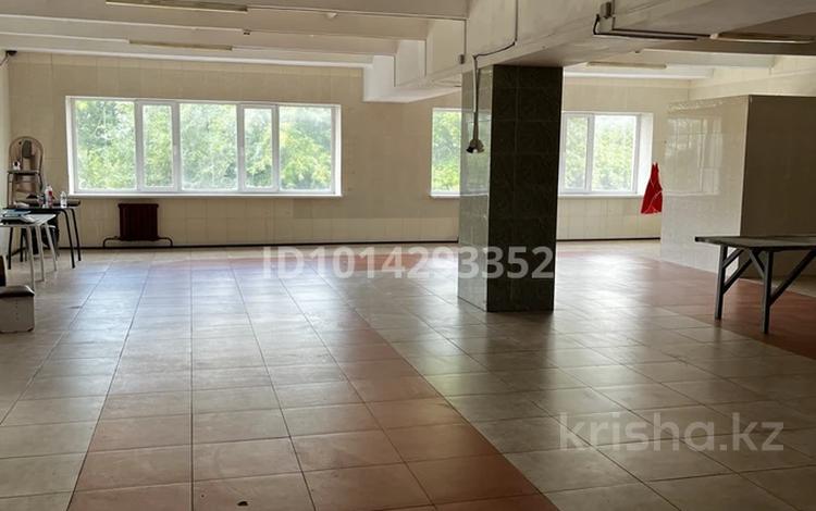 Промбаза · 20 соток, Путейское строение 2/13 — Ресторан Двин за 370 000 ₸ в Павлодаре — фото 2