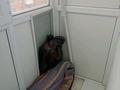 1-комнатная квартира · 38 м² · 6/6 этаж, Сокпакбаева 21/1 — Косшыгулулы. за 16.9 млн ₸ в Астане, Сарыарка р-н — фото 13