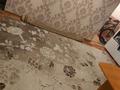 2-бөлмелі пәтер · 40 м² · 1/2 қабат, мкр Центральный, Азаттық 116а — Между маслопром и торг база, бағасы: 100 000 ₸ в Атырау — фото 4