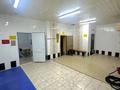 Банный комлекс · 1350 м², бағасы: 800 млн ₸ в Астане, Сарыарка р-н — фото 34