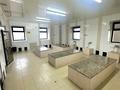 Банный комлекс · 1350 м², бағасы: 800 млн ₸ в Астане, Сарыарка р-н — фото 44