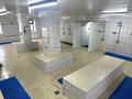 Банный комлекс · 1350 м², бағасы: 800 млн ₸ в Астане, Сарыарка р-н — фото 68
