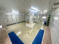 Банный комлекс · 1350 м², бағасы: 800 млн ₸ в Астане, Сарыарка р-н — фото 69