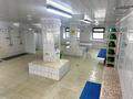 Банный комлекс · 1350 м², бағасы: 800 млн ₸ в Астане, Сарыарка р-н — фото 83