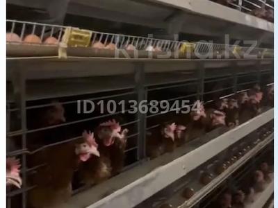 Сельское хозяйство · 500 м² за 220 млн ₸ в Уральске